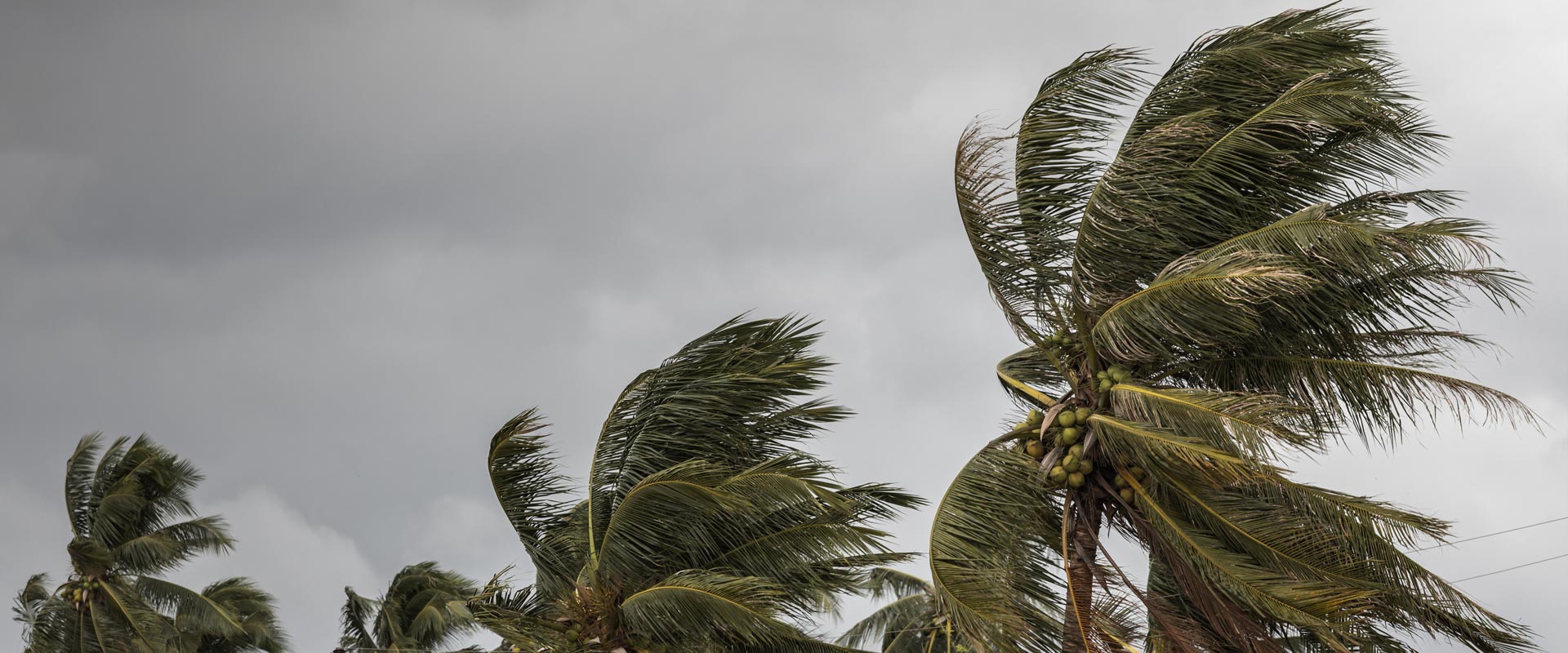 Be Prepared: Hurricane Season is Here